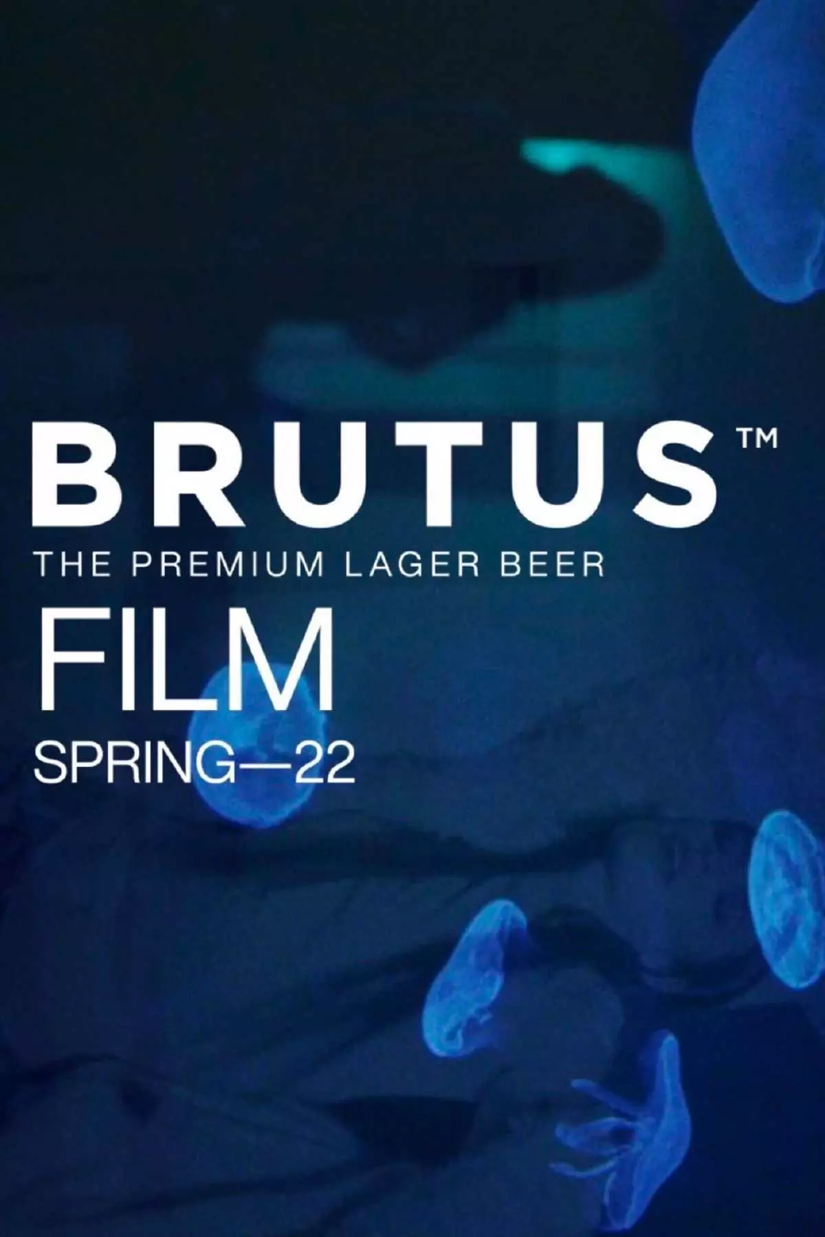 Proyecto de Social Media Branding de Vectoriam by Auren para Brutus